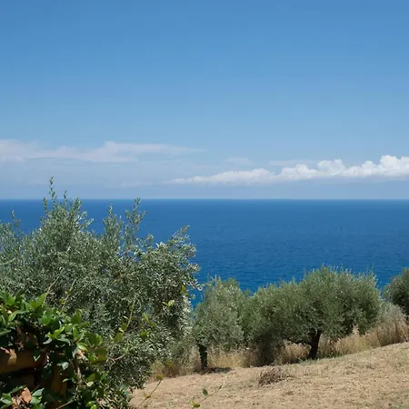 το καλύβι της γιαγιάς Damouchari